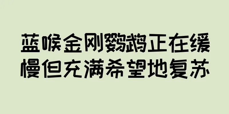 蓝喉金刚鹦鹉正在缓慢但充满希望地复苏