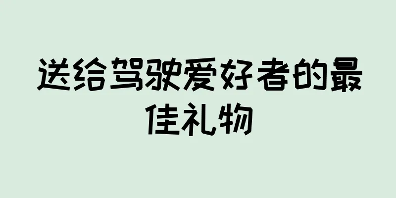 送给驾驶爱好者的最佳礼物