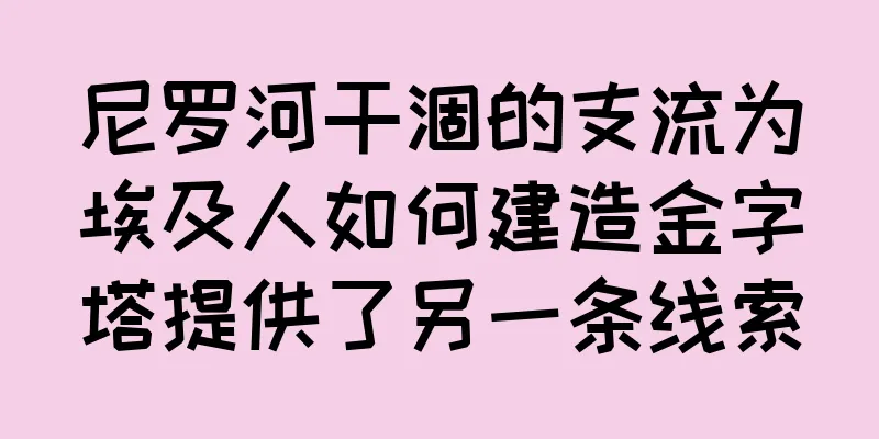 尼罗河干涸的支流为埃及人如何建造金字塔提供了另一条线索