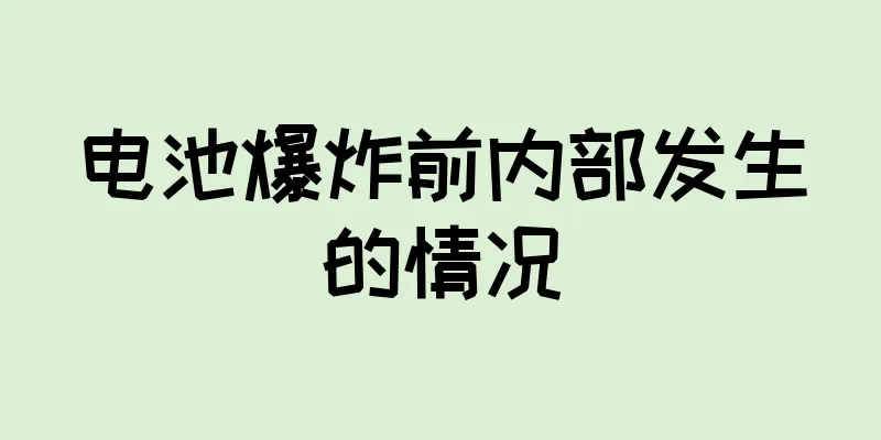 电池爆炸前内部发生的情况