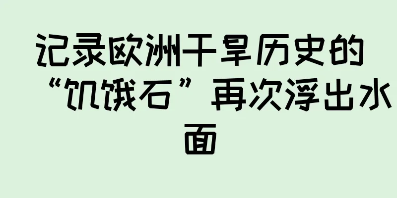 记录欧洲干旱历史的“饥饿石”再次浮出水面