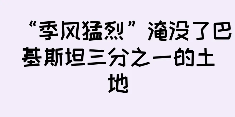 “季风猛烈”淹没了巴基斯坦三分之一的土地