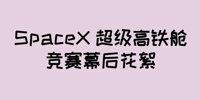 SpaceX 超级高铁舱竞赛幕后花絮