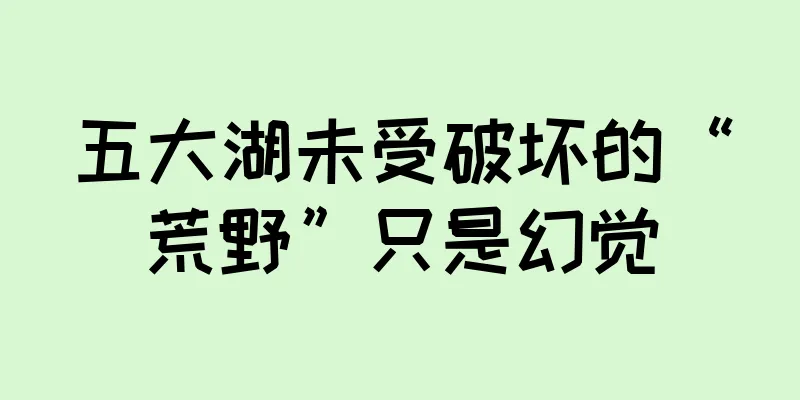 五大湖未受破坏的“荒野”只是幻觉