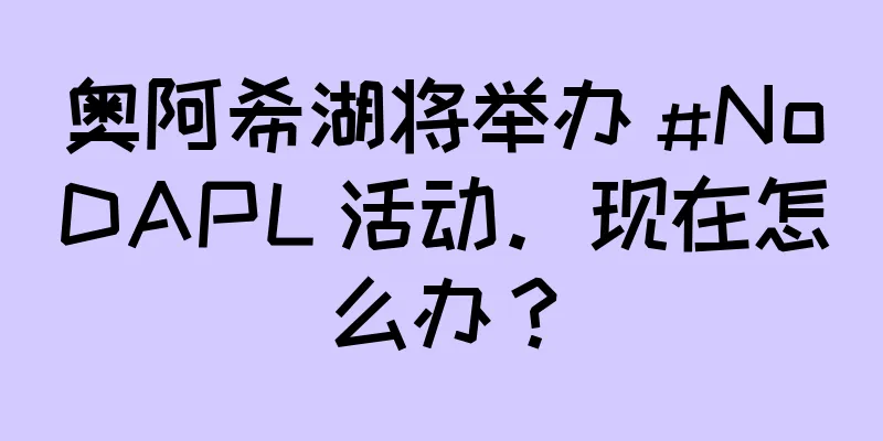 奥阿希湖将举办 #NoDAPL 活动。现在怎么办？