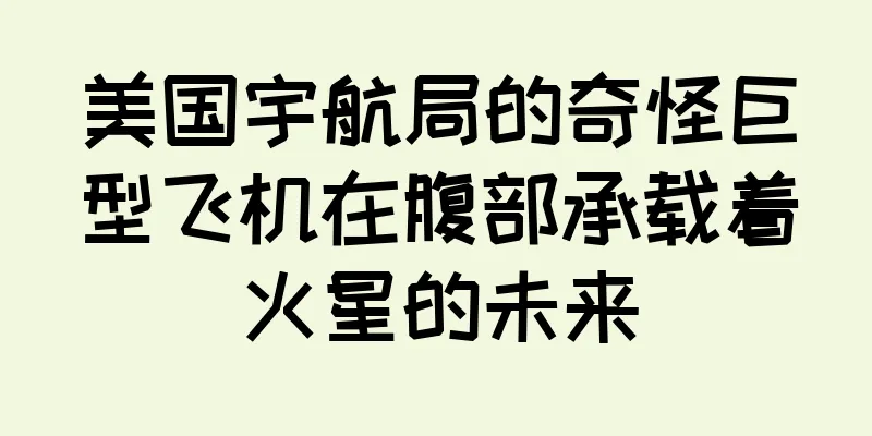 美国宇航局的奇怪巨型飞机在腹部承载着火星的未来