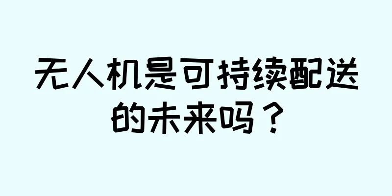 无人机是可持续配送的未来吗？