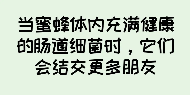 当蜜蜂体内充满健康的肠道细菌时，它们会结交更多朋友