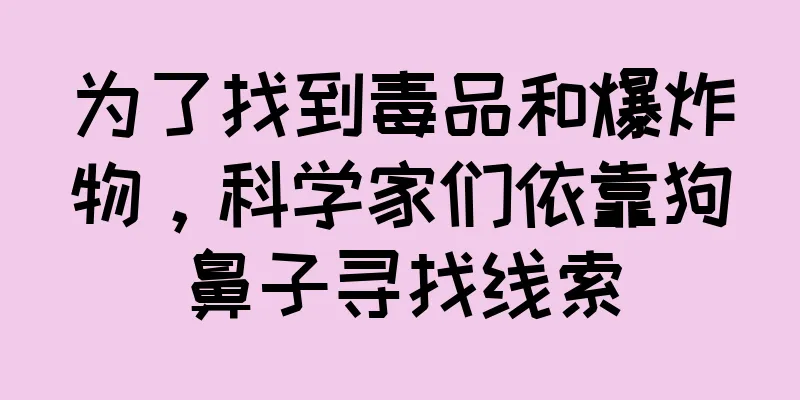 为了找到毒品和爆炸物，科学家们依靠狗鼻子寻找线索