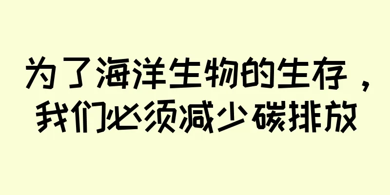 为了海洋生物的生存，我们必须减少碳排放