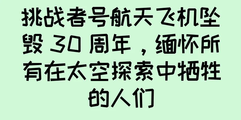 挑战者号航天飞机坠毁 30 周年，缅怀所有在太空探索中牺牲的人们