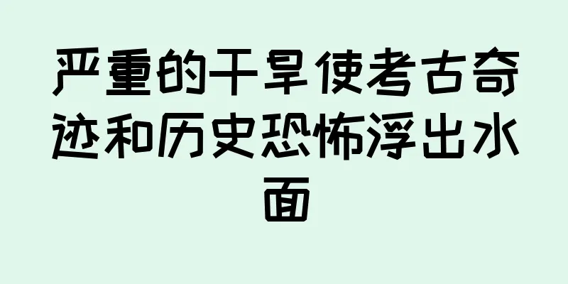 严重的干旱使考古奇迹和历史恐怖浮出水面