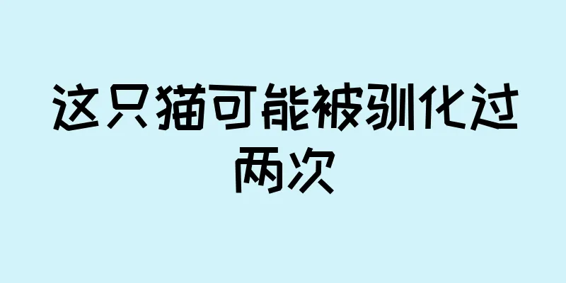 这只猫可能被驯化过两次