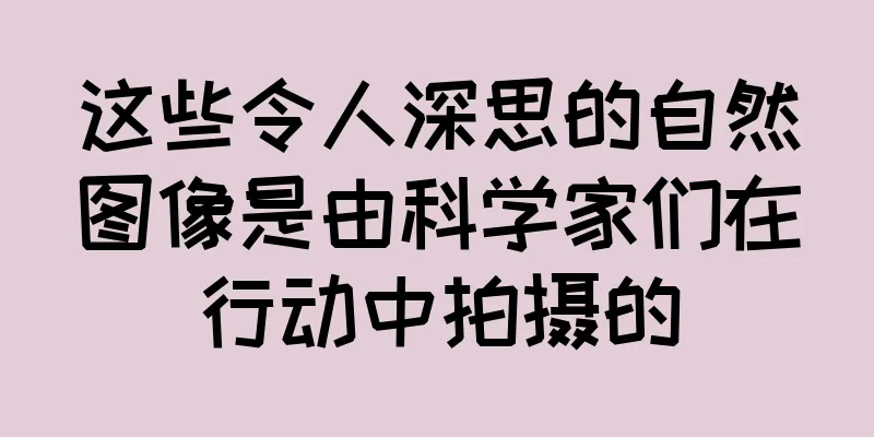这些令人深思的自然图像是由科学家们在行动中拍摄的