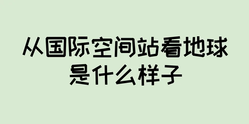 从国际空间站看地球是什么样子