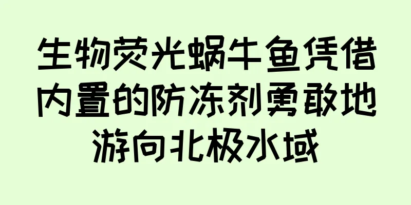 生物荧光蜗牛鱼凭借内置的防冻剂勇敢地游向北极水域