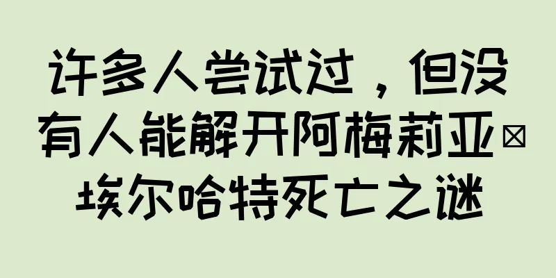 许多人尝试过，但没有人能解开阿梅莉亚·埃尔哈特死亡之谜