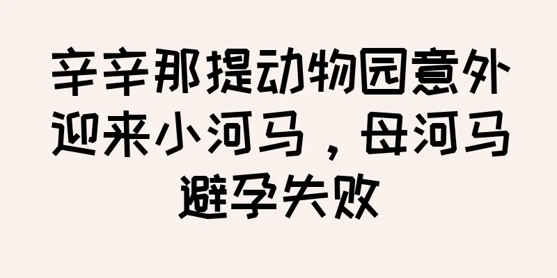 辛辛那提动物园意外迎来小河马，母河马避孕失败