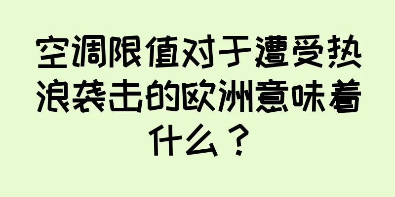 空调限值对于遭受热浪袭击的欧洲意味着什么？