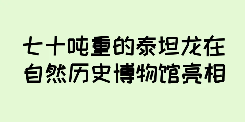 七十吨重的泰坦龙在自然历史博物馆亮相