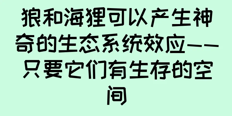 狼和海狸可以产生神奇的生态系统效应——只要它们有生存的空间