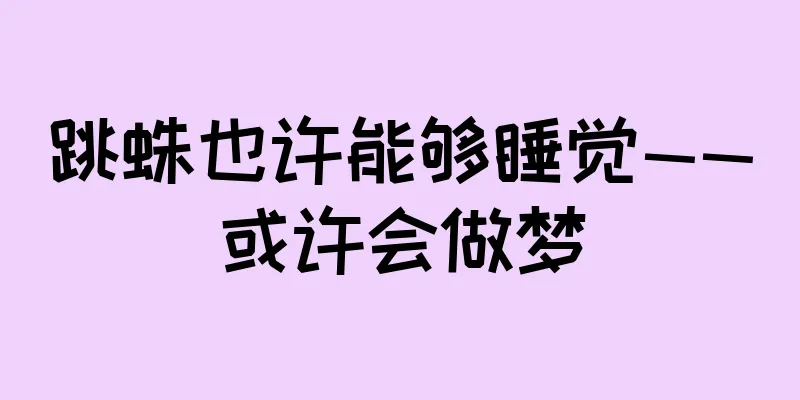 跳蛛也许能够睡觉——或许会做梦