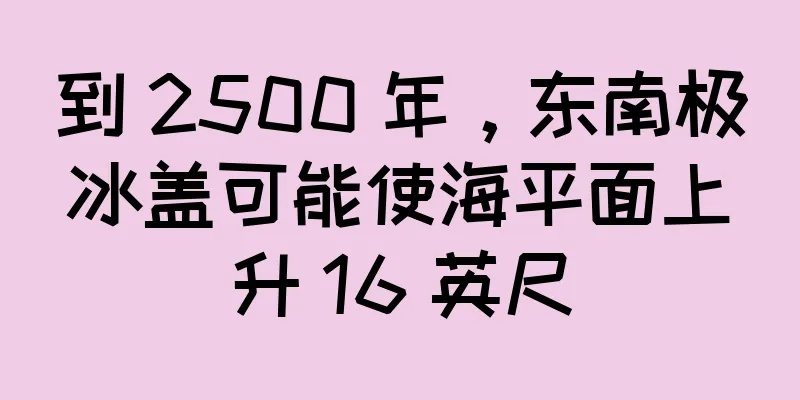 到 2500 年，东南极冰盖可能使海平面上升 16 英尺
