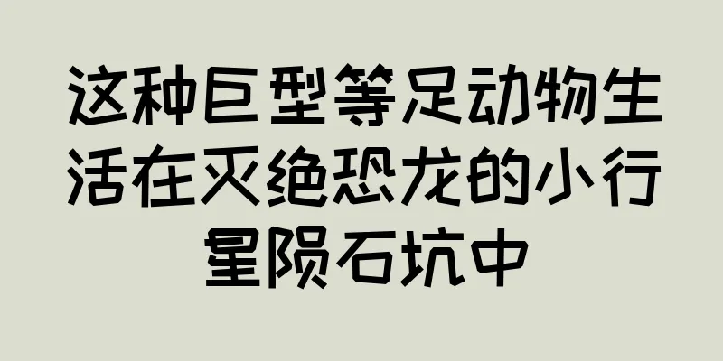 这种巨型等足动物生活在灭绝恐龙的小行星陨石坑中