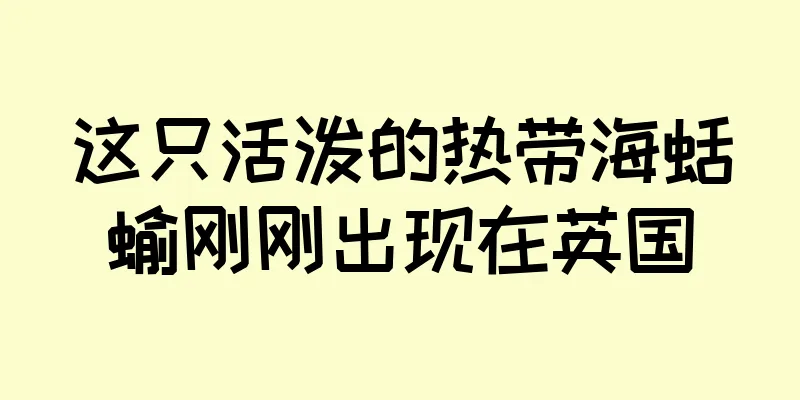 这只活泼的热带海蛞蝓刚刚出现在英国