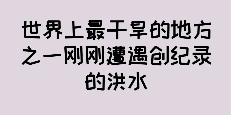 世界上最干旱的地方之一刚刚遭遇创纪录的洪水