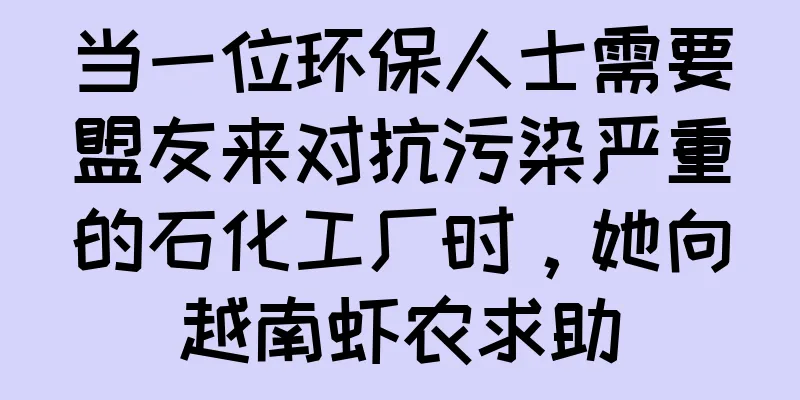 当一位环保人士需要盟友来对抗污染严重的石化工厂时，她向越南虾农求助