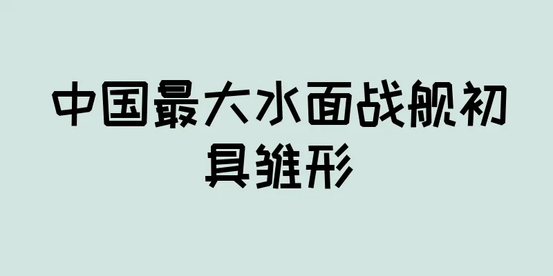 中国最大水面战舰初具雏形