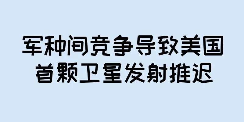 军种间竞争导致美国首颗卫星发射推迟