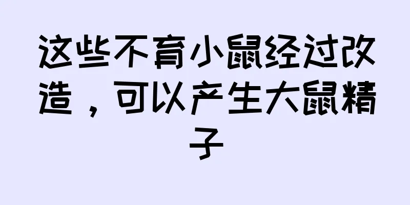 这些不育小鼠经过改造，可以产生大鼠精子