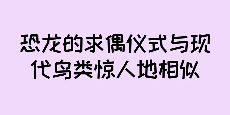恐龙的求偶仪式与现代鸟类惊人地相似