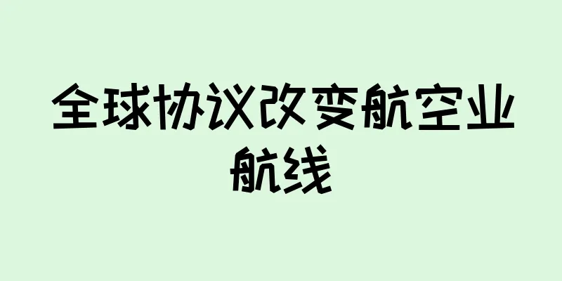 全球协议改变航空业航线
