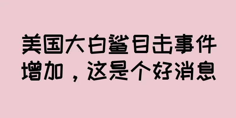 美国大白鲨目击事件增加，这是个好消息