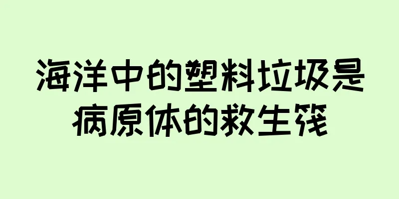 海洋中的塑料垃圾是病原体的救生筏