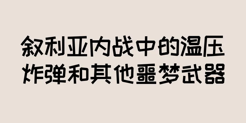 叙利亚内战中的温压炸弹和其他噩梦武器