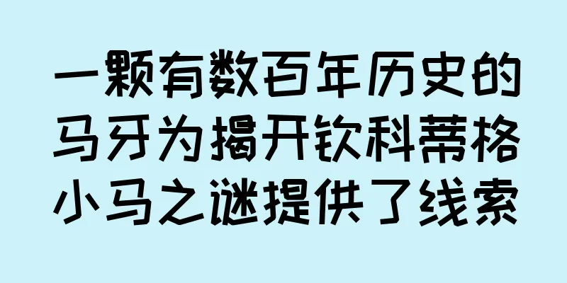 一颗有数百年历史的马牙为揭开钦科蒂格小马之谜提供了线索
