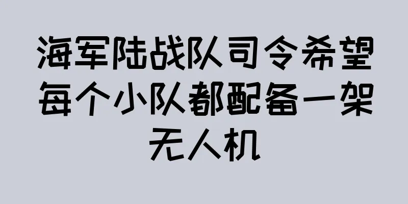 海军陆战队司令希望每个小队都配备一架无人机