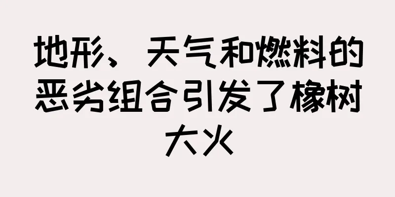 地形、天气和燃料的恶劣组合引发了橡树大火