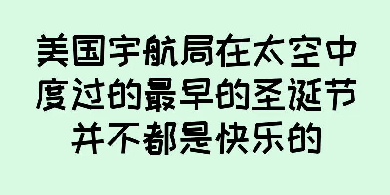 美国宇航局在太空中度过的最早的圣诞节并不都是快乐的