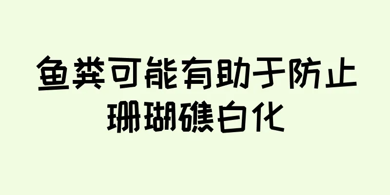 鱼粪可能有助于防止珊瑚礁白化