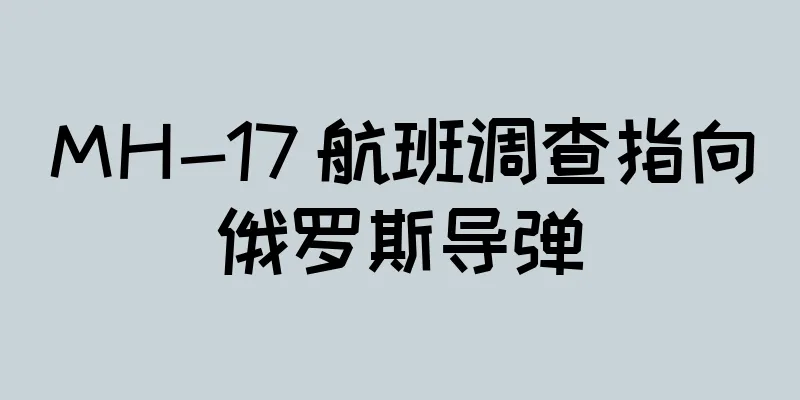 MH-17 航班调查指向俄罗斯导弹