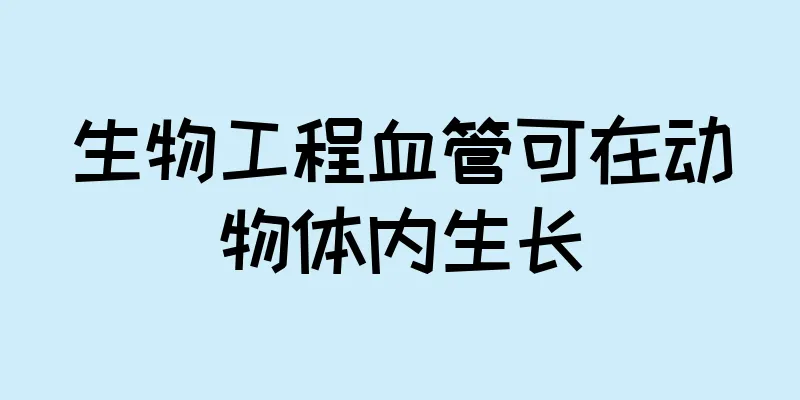 生物工程血管可在动物体内生长