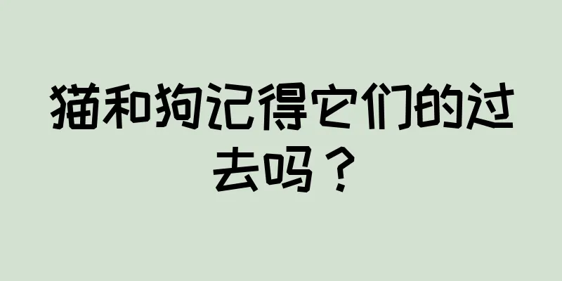 猫和狗记得它们的过去吗？