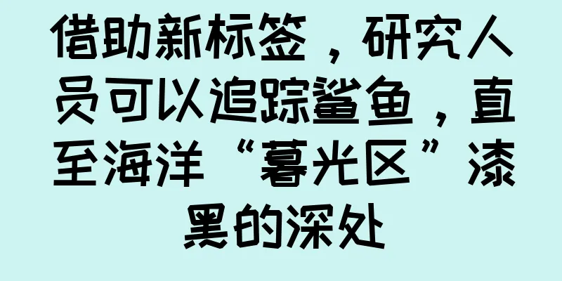 借助新标签，研究人员可以追踪鲨鱼，直至海洋“暮光区”漆黑的深处