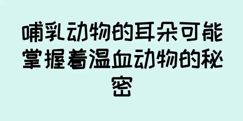 哺乳动物的耳朵可能掌握着温血动物的秘密