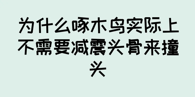 为什么啄木鸟实际上不需要减震头骨来撞头